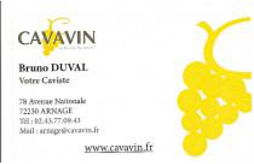 CAVAVIN